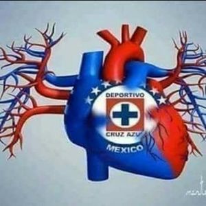 Meet your Posher, Armando